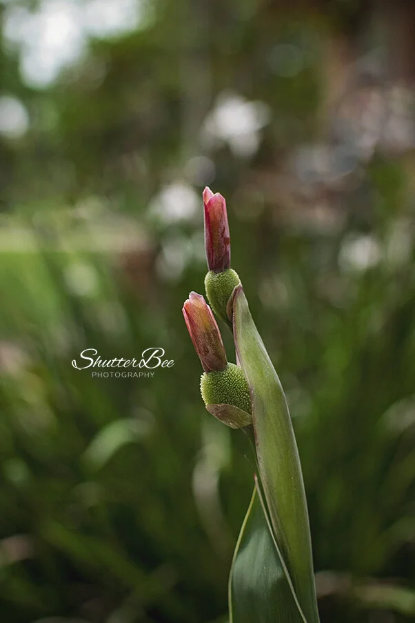 ABD_2272 WEB RESIZED POST.jpg