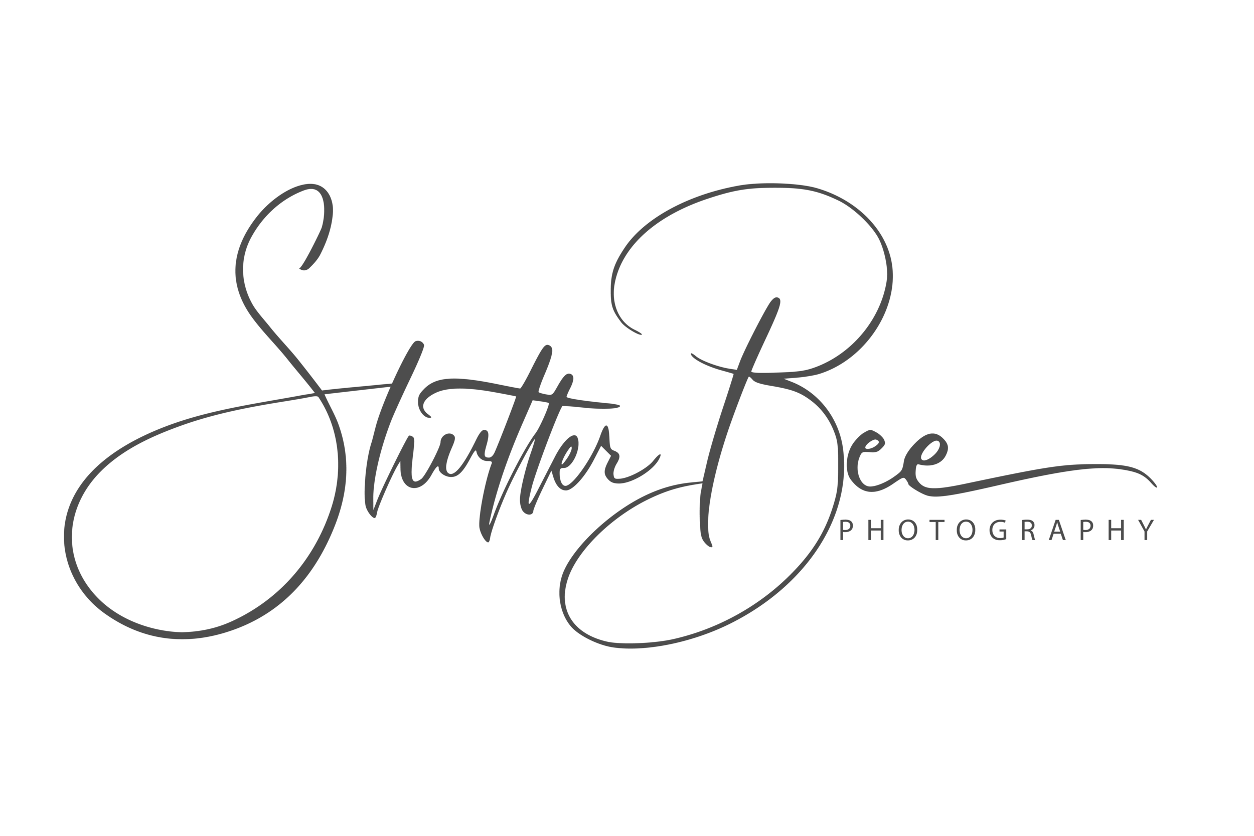 ShutterBee Photography