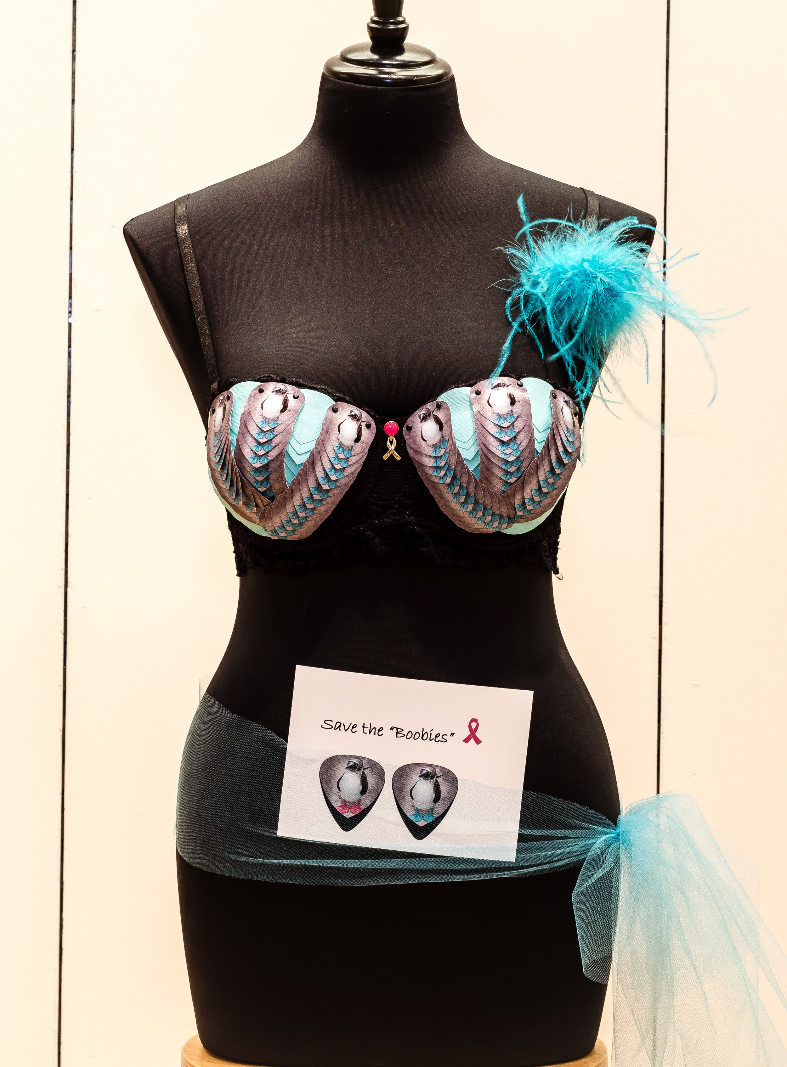 Bra Art Archive — Bras for the Cause