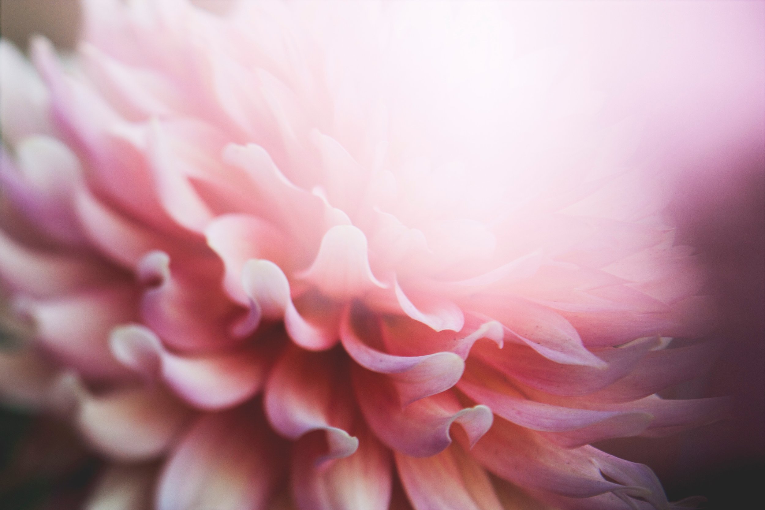 aboutUs-1.jpg