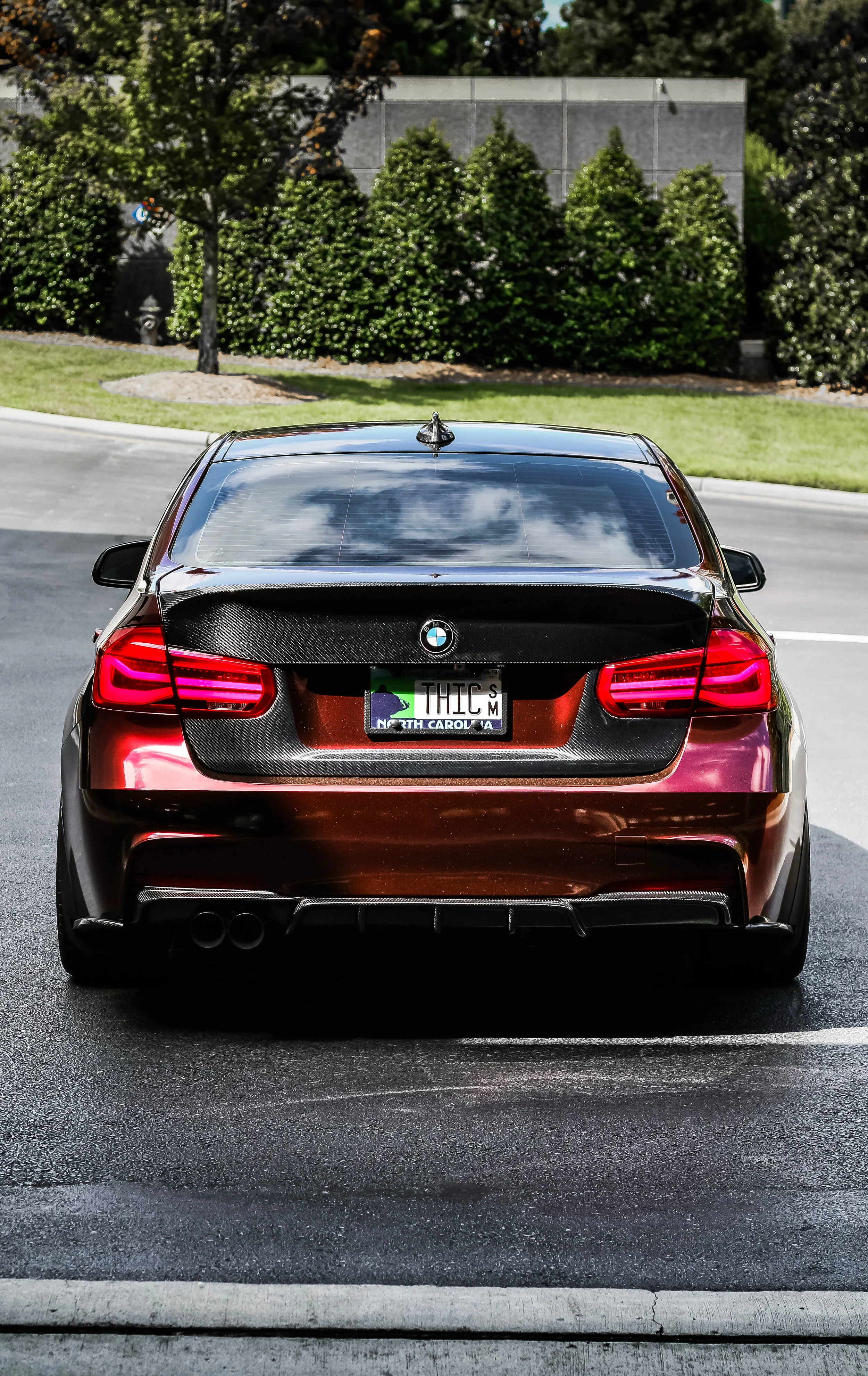 Suvneer Carbon Products Thicwhips
