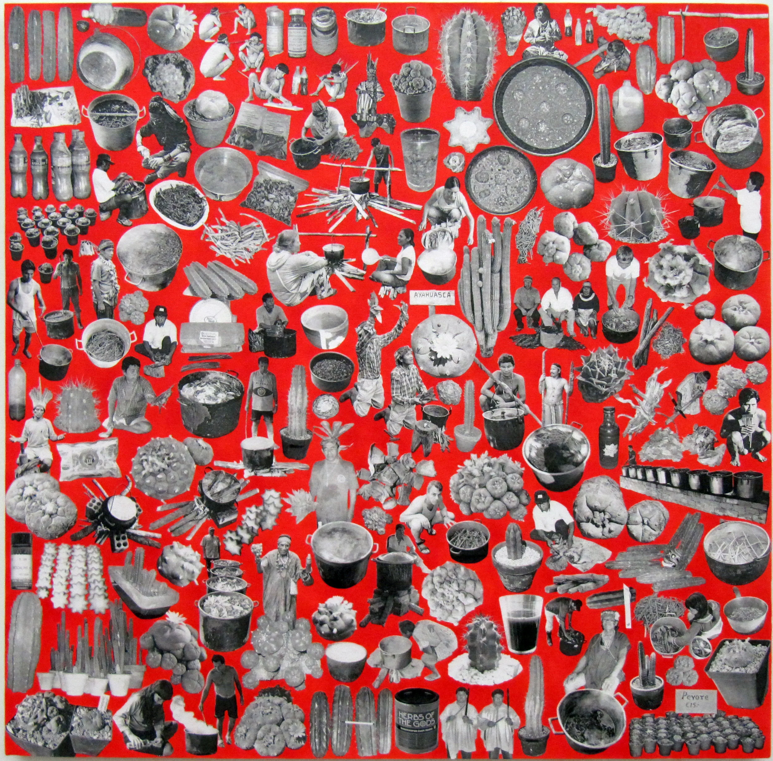 Pharmacopeia Quilt, 2013 (Shamanistic Hallucinogens)