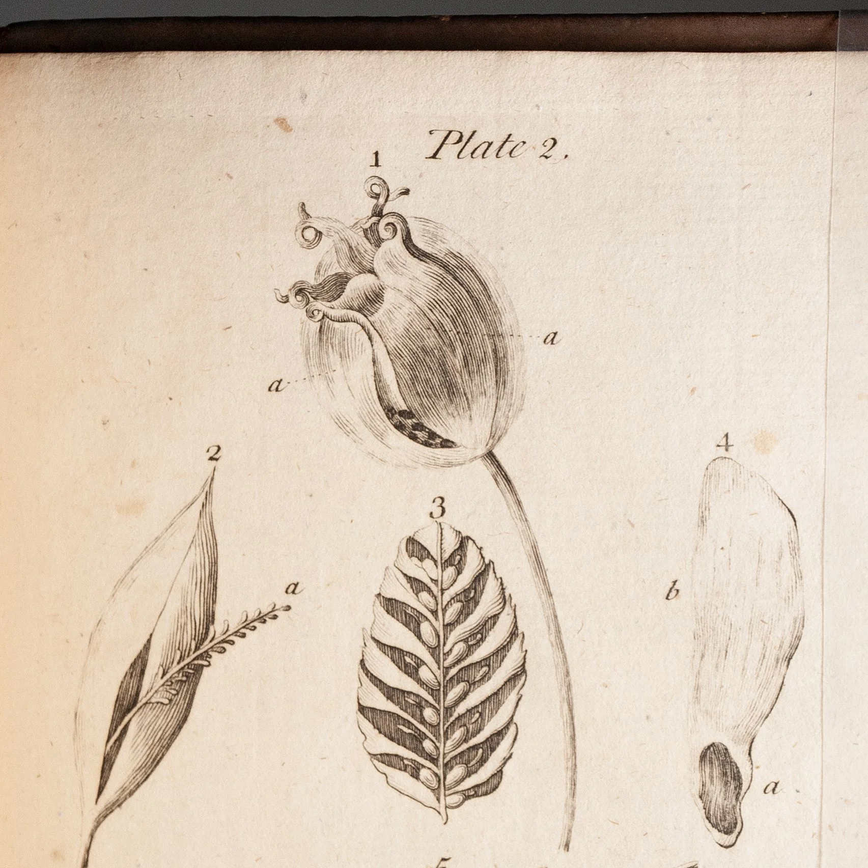 inv_1022f.jpg