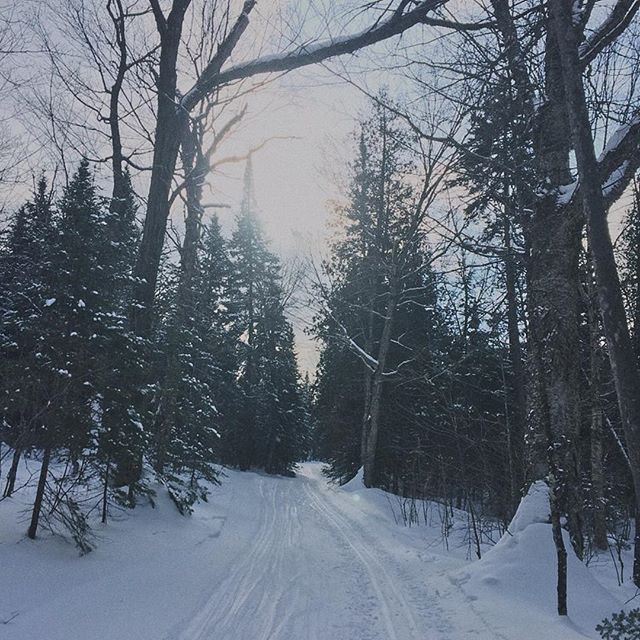 Suivez vos r&ecirc;ves, ils connaissent le chemin.
.
.
.
.
.
.
#naturephotography #nature #nature_lovers #quebecnature #naturequebec #quebecoriginal #explorecanada&nbsp;#suivezvosreves #followyourdreams&nbsp;
#vivreennature #pleinair #skidefond #skid