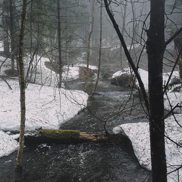 L&rsquo;hiver s&rsquo;installe tranquillement sur les Bois&eacute;s Champ&ecirc;tres. Vivement notre premi&egrave;re sortie en ski de fonds!
.
.
.
.
.
.
#naturephotography #nature #nature_lovers #quebecnature #naturequebec #quebecoriginal #explorecan