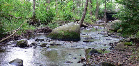 laughing-brook-wildlife-sanctuary.jpg