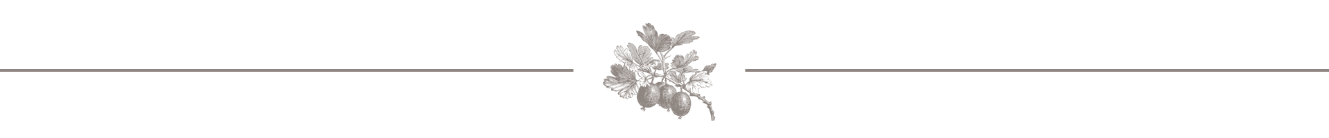 divider2.png