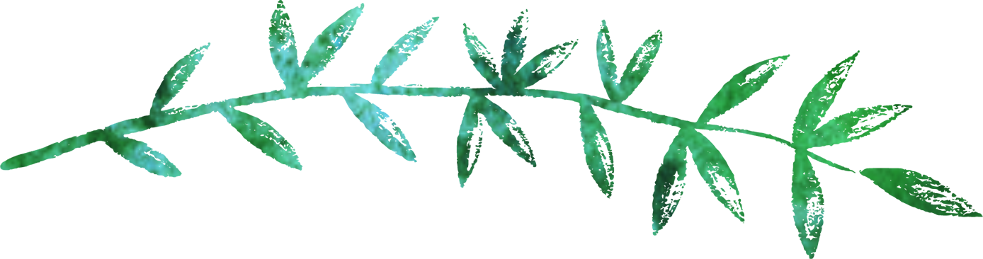 leaves.png