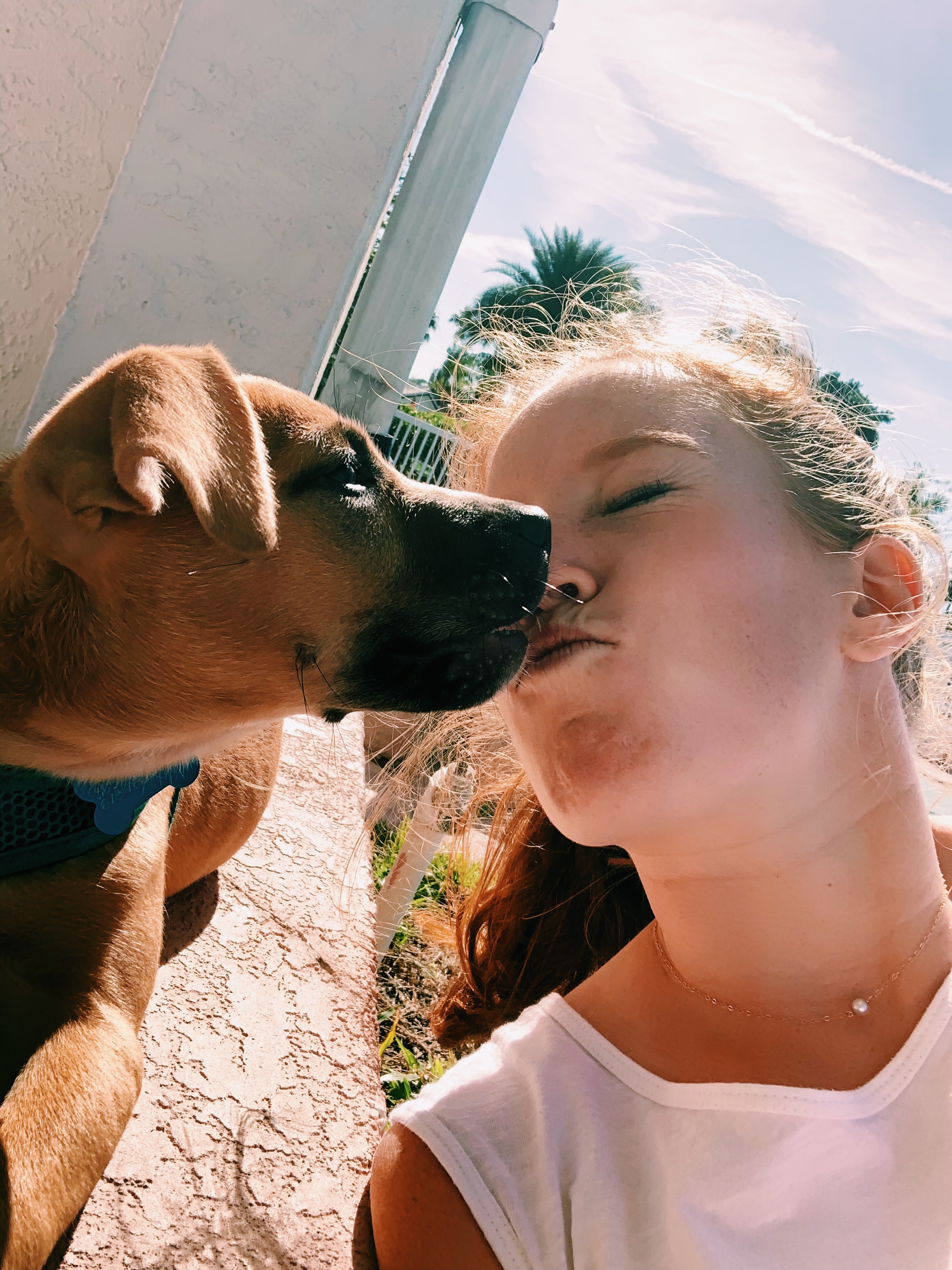 We named her Pippa and we love her, she’s one of the fam!