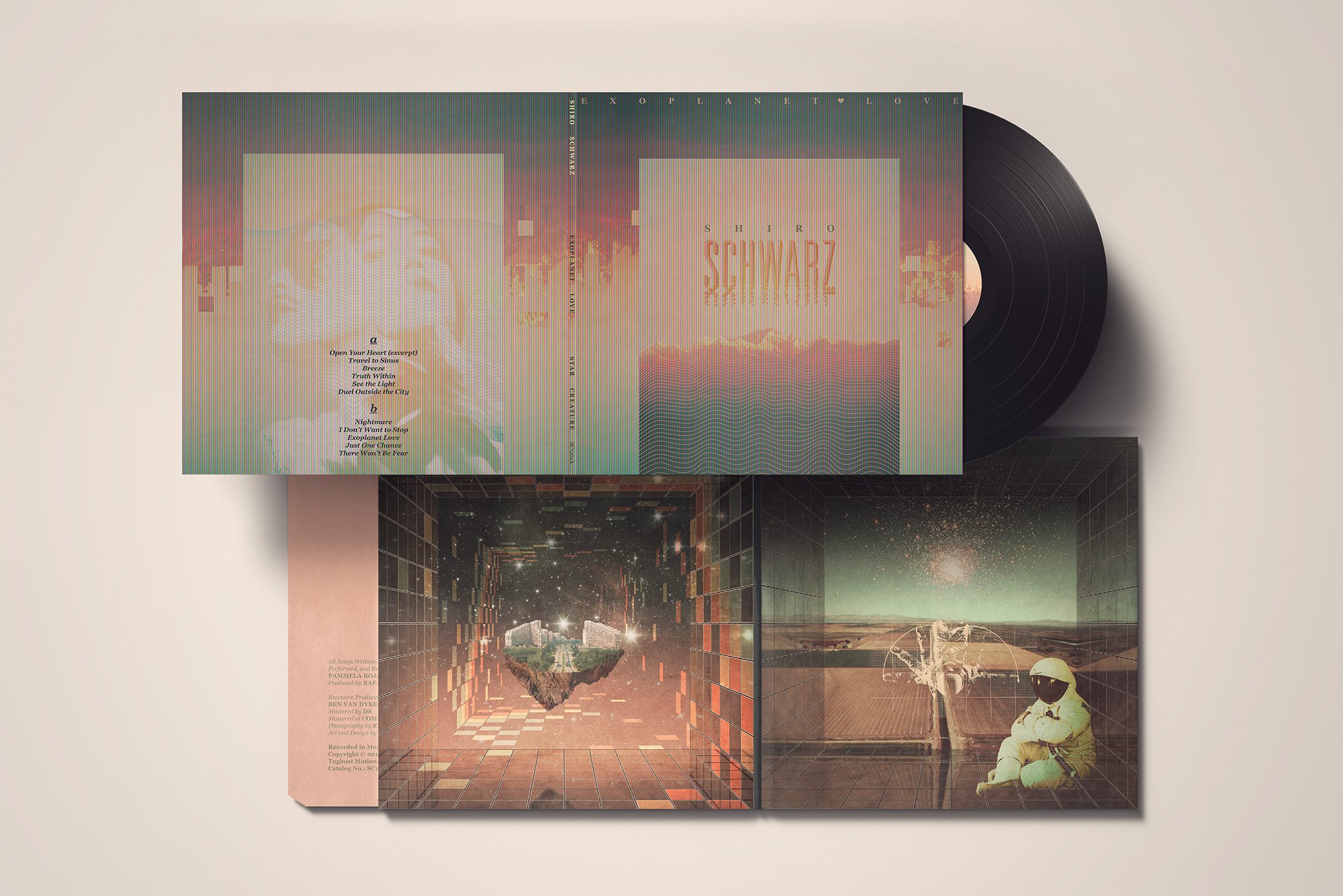 03_Vinyl Mock-up 4 warm.jpg