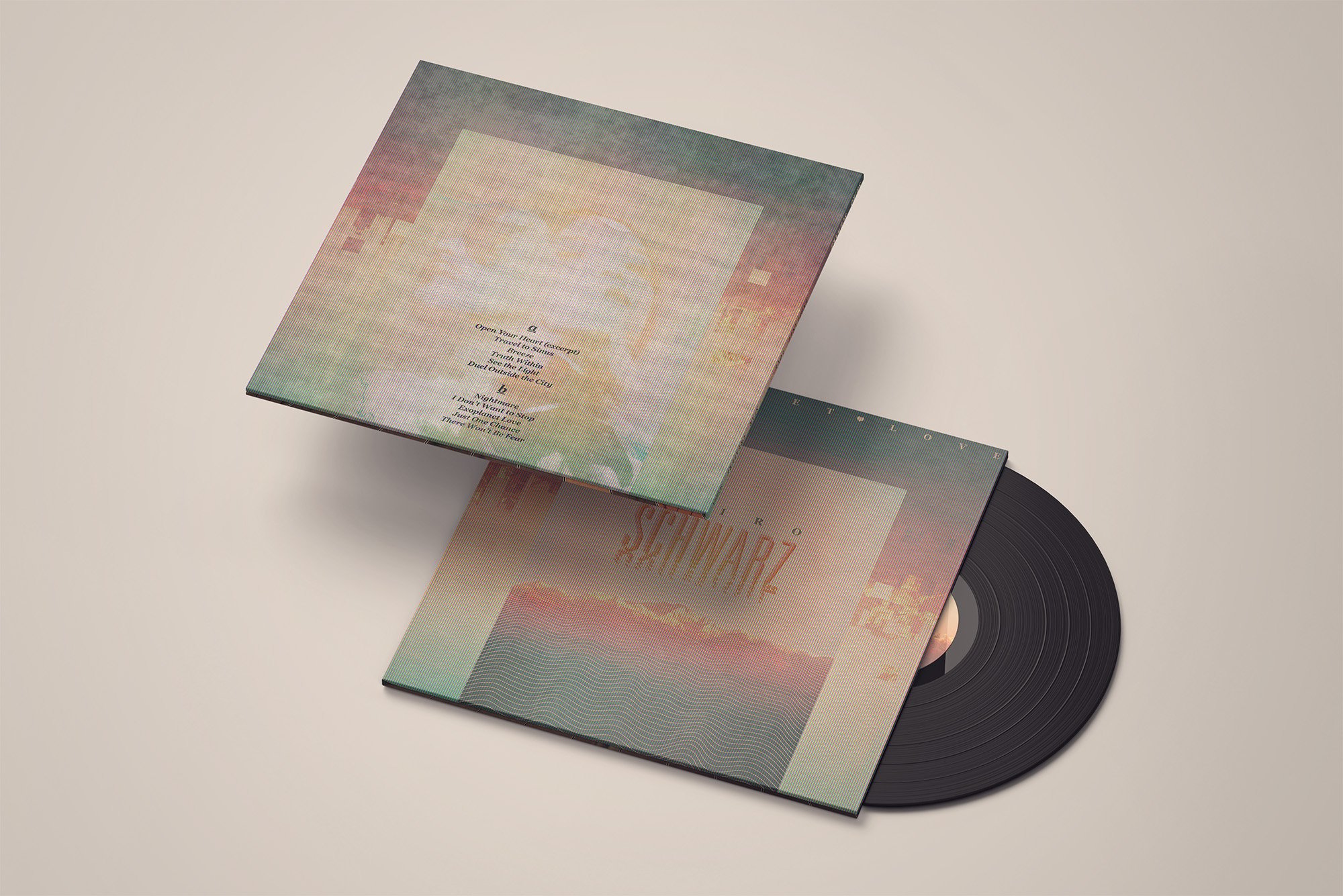 07_Vinyl Mock-up 4.jpg