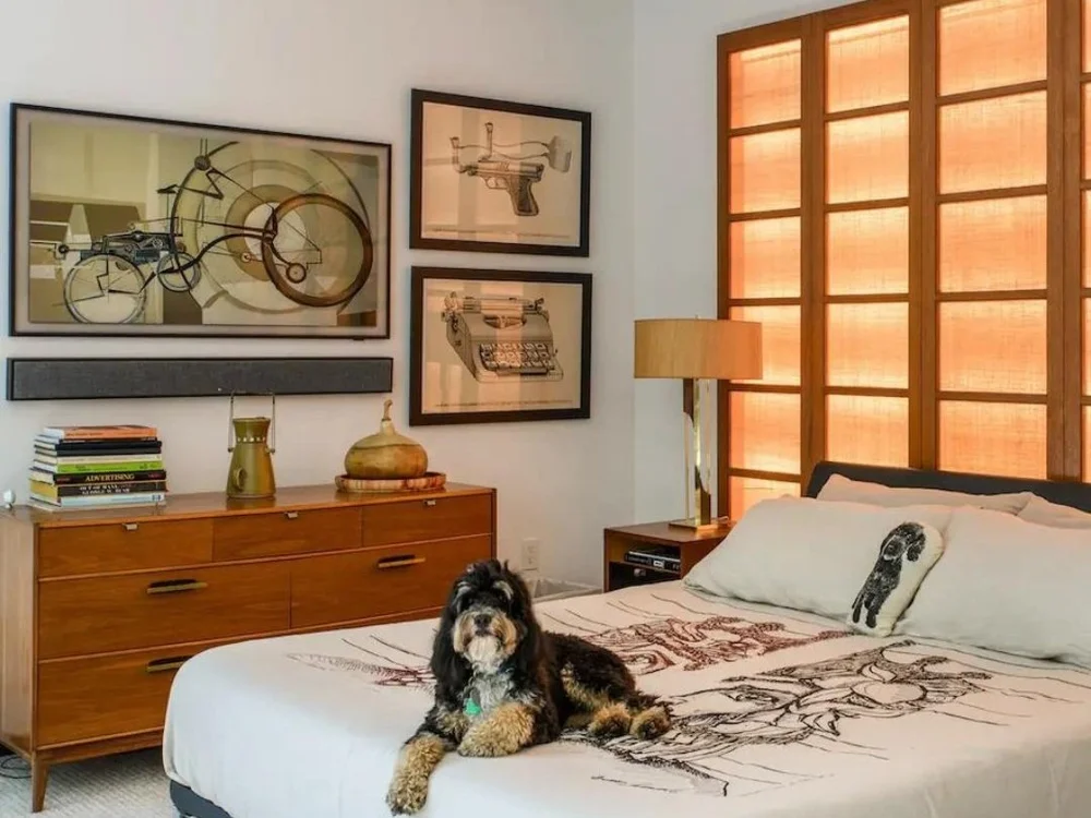   Solutions Audio/Video &amp; Technology ’s winning Install of the Year entry showcases FrameBar’s ultra-thin depth and unified aesthetic. 