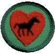 Junior/Girl Scouts Horse Fan Badge