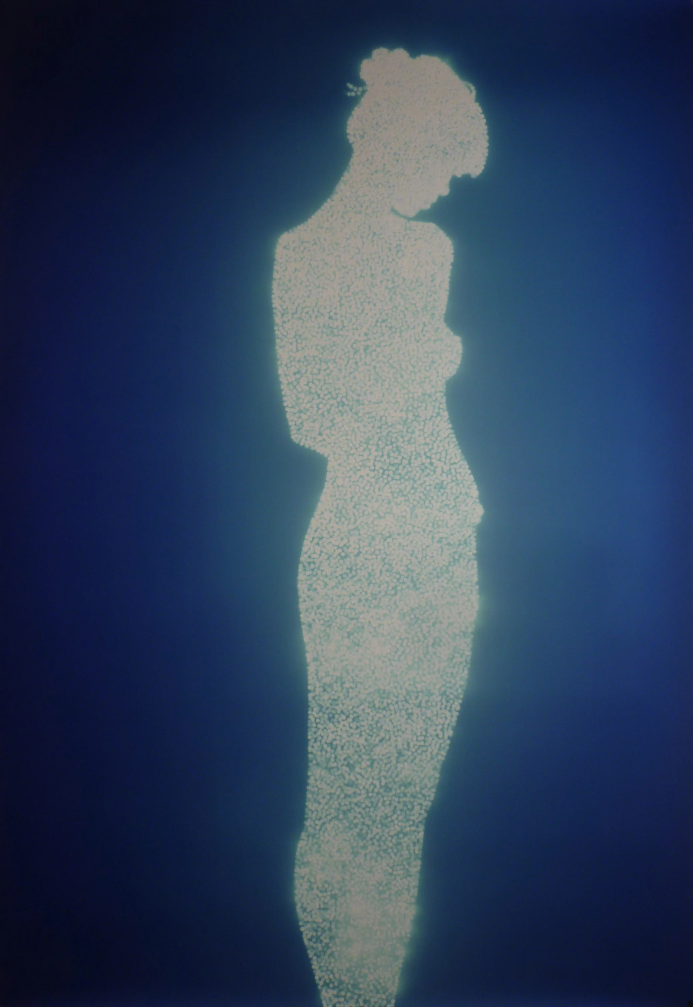 Tetrarch CS, 2012, multiple aperture pinhole photograph, 60 x 40ins