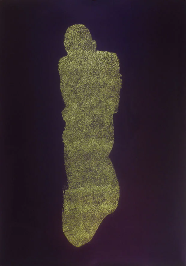 Guest SB-CB, 2012, multiple aperture pinhole photograph, 40 x 30ins