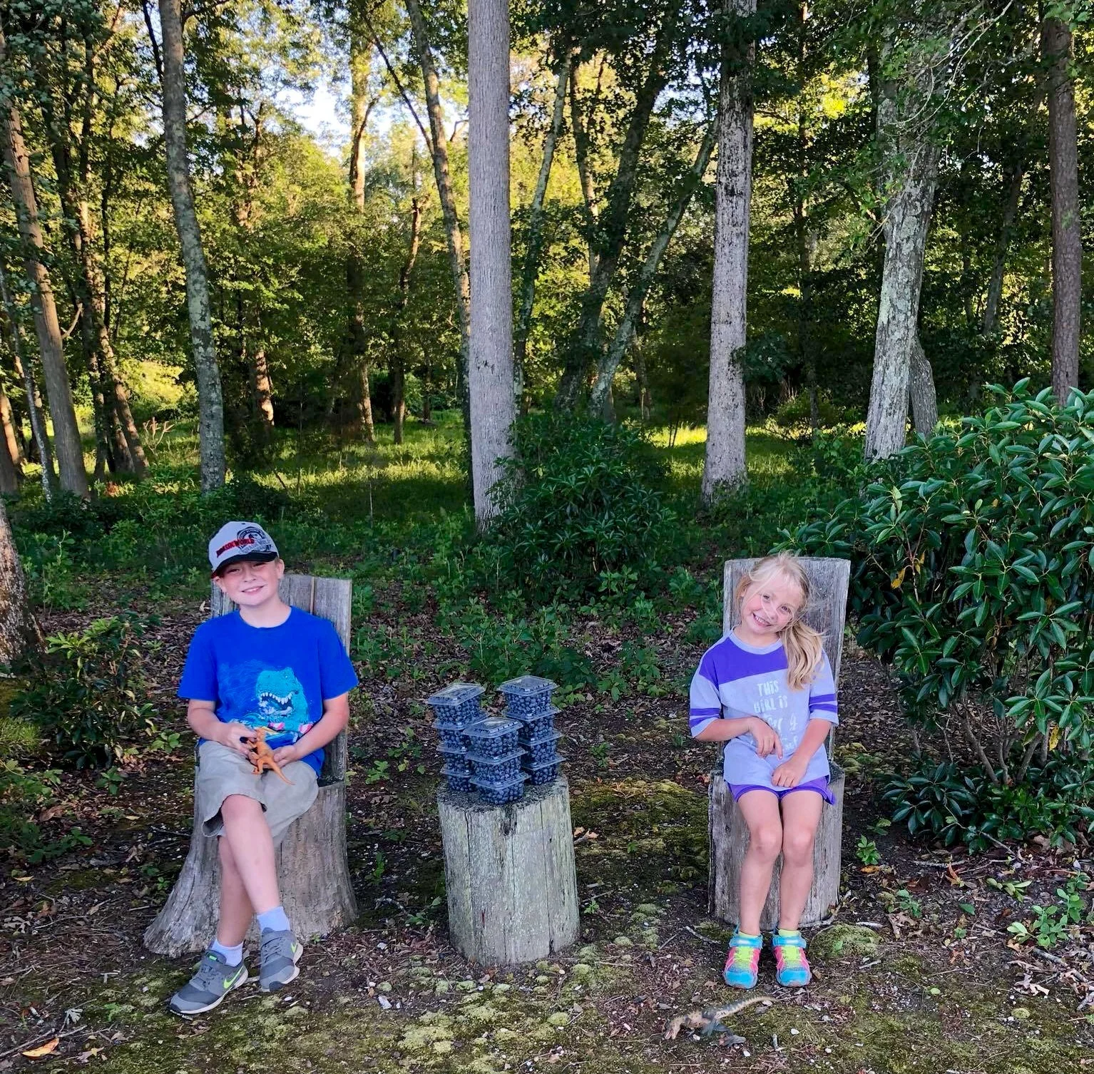 Blueberry PIicking in NJ at DiMeo U-Pick Blueberries Farm.jpg
