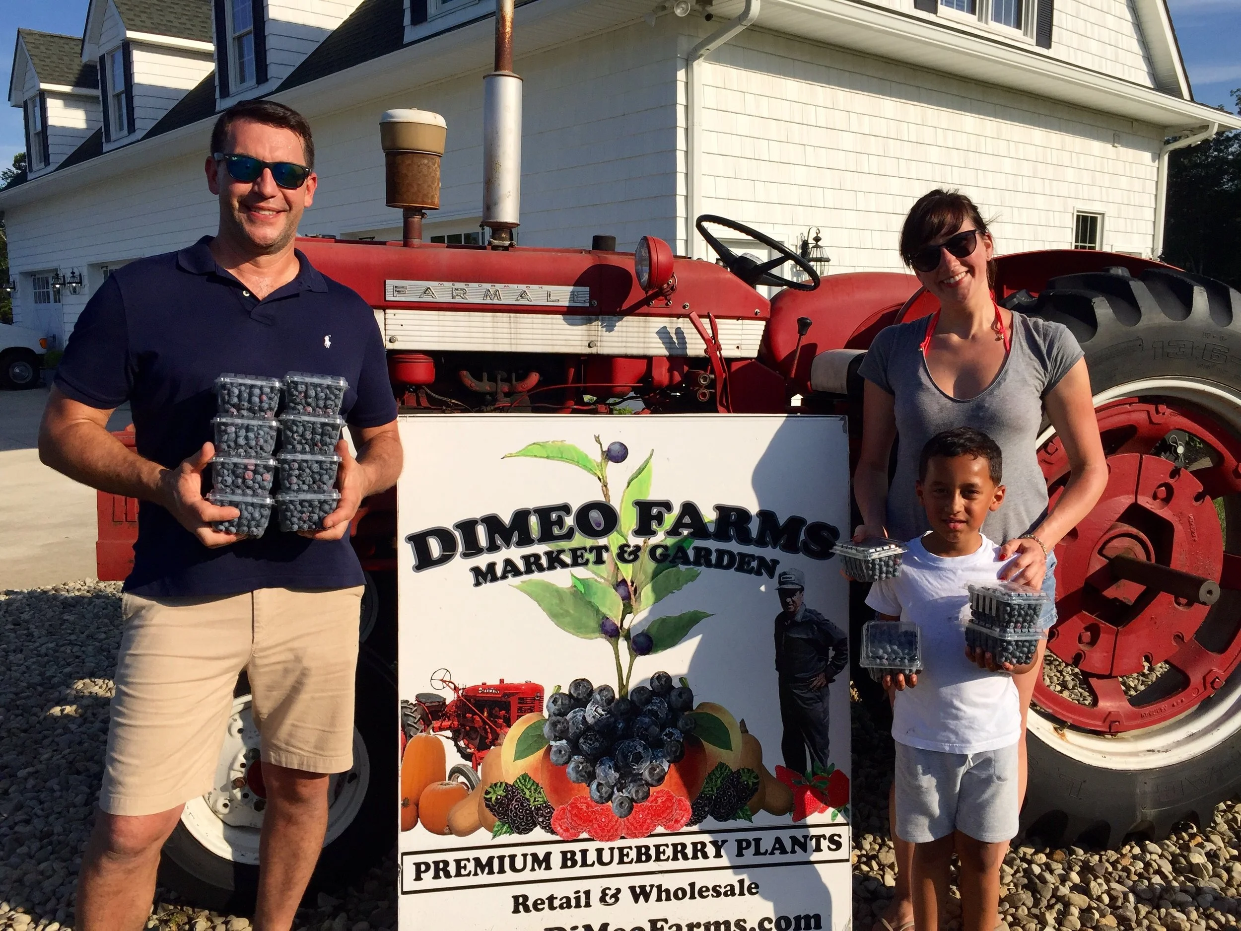 Pick Your Own Blueberries in South Jersey.jpg