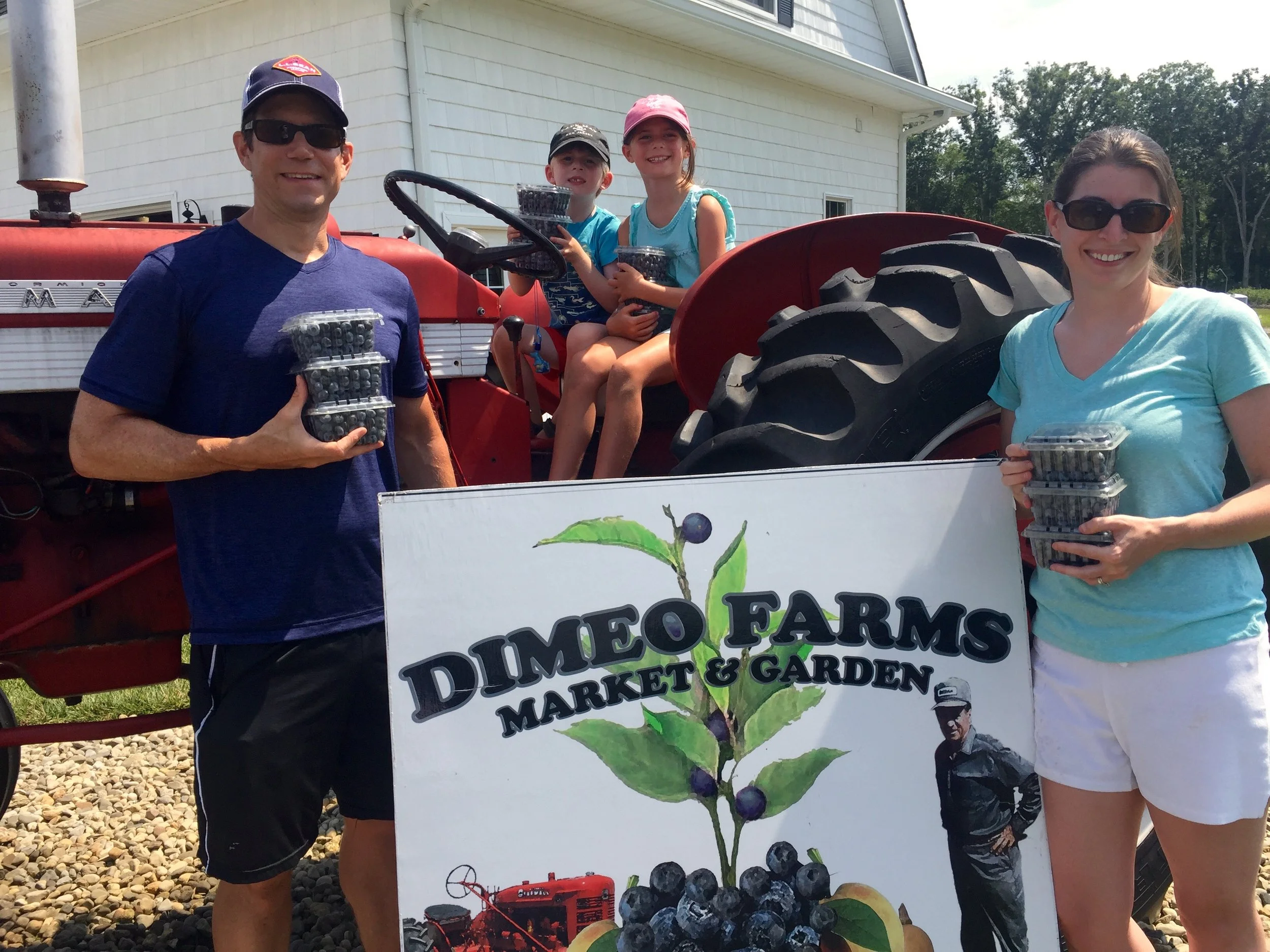 Pick Blueberries in South Jersey at DiMeo's PYO Blueberry Farm.jpg