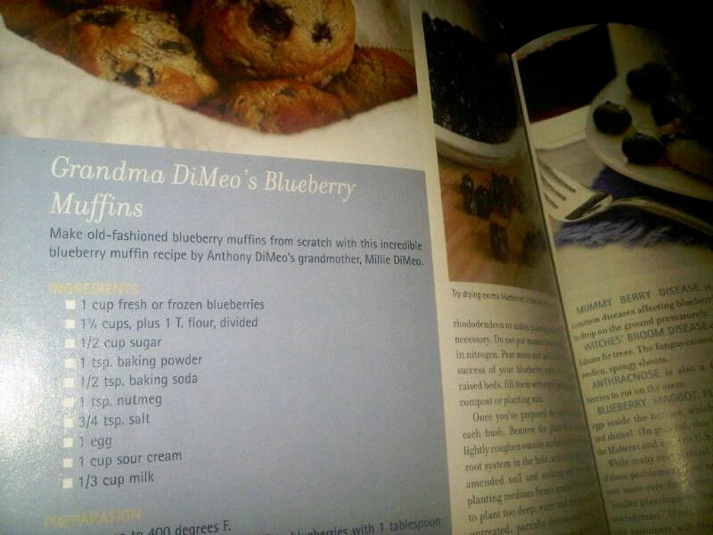 blueberry recipes.jpeg