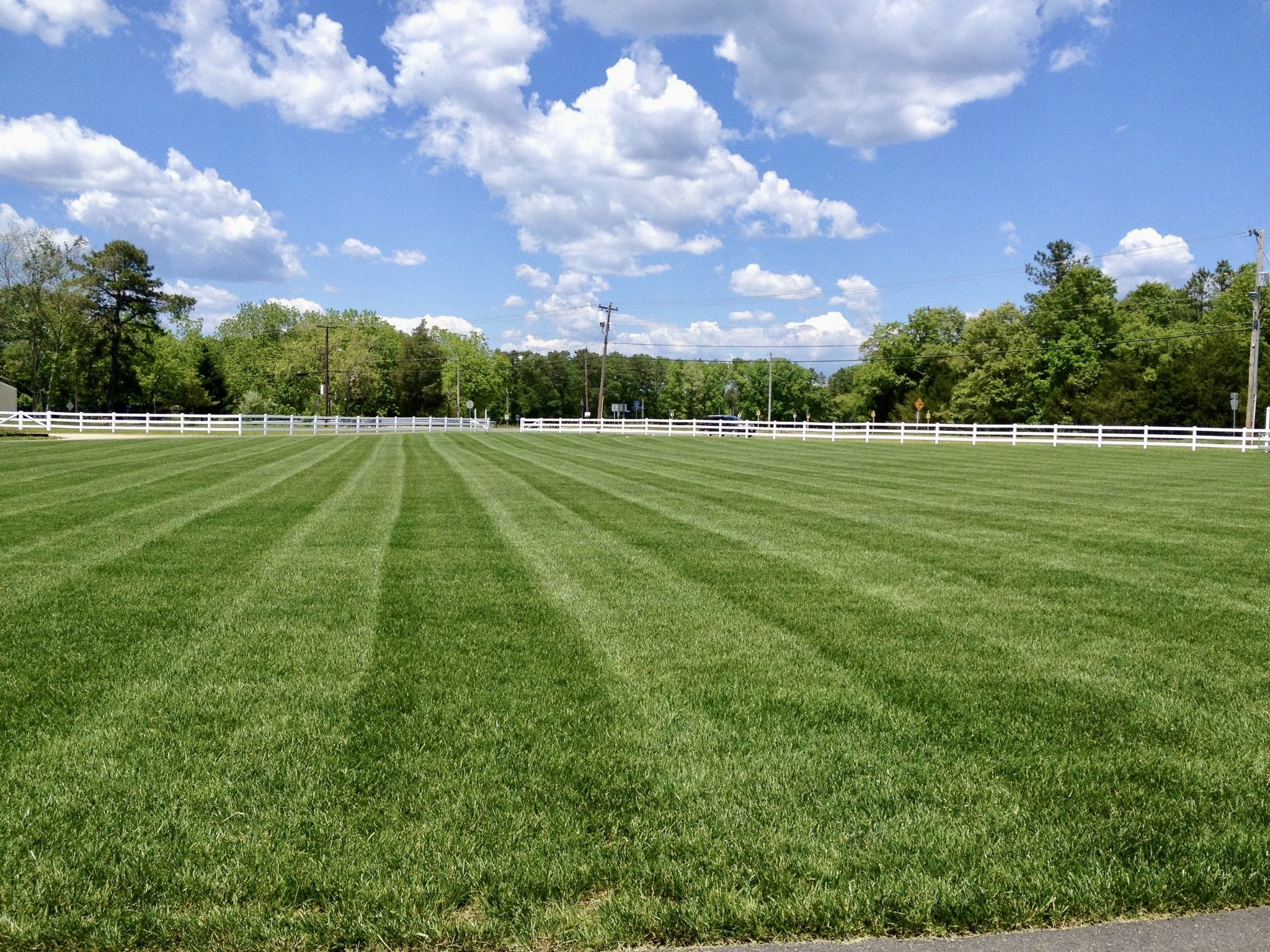 dimeo farm wedding tent location option.jpeg