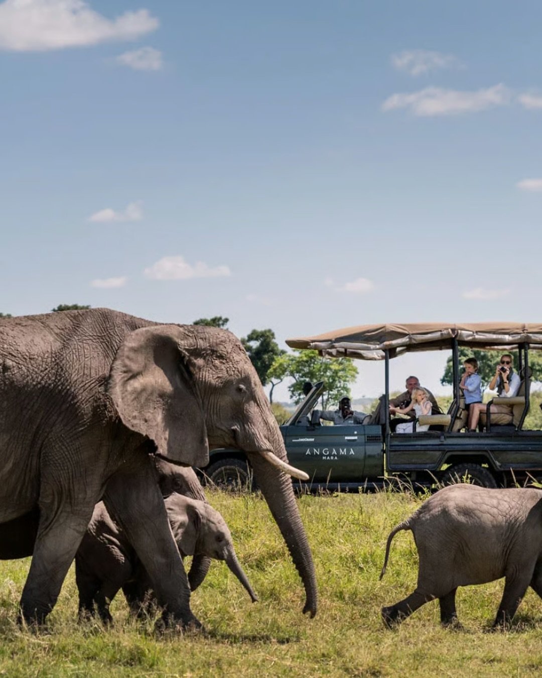 Getting Married!

Congrats to Sam and Natalie who are celebrating their honeymoon this month in Kenya @angamasafari . Angama Mara is a place where the sky melts into the savannah and luxury meets wild adventure. Nestled high above Kenya&rsquo;s Maasa