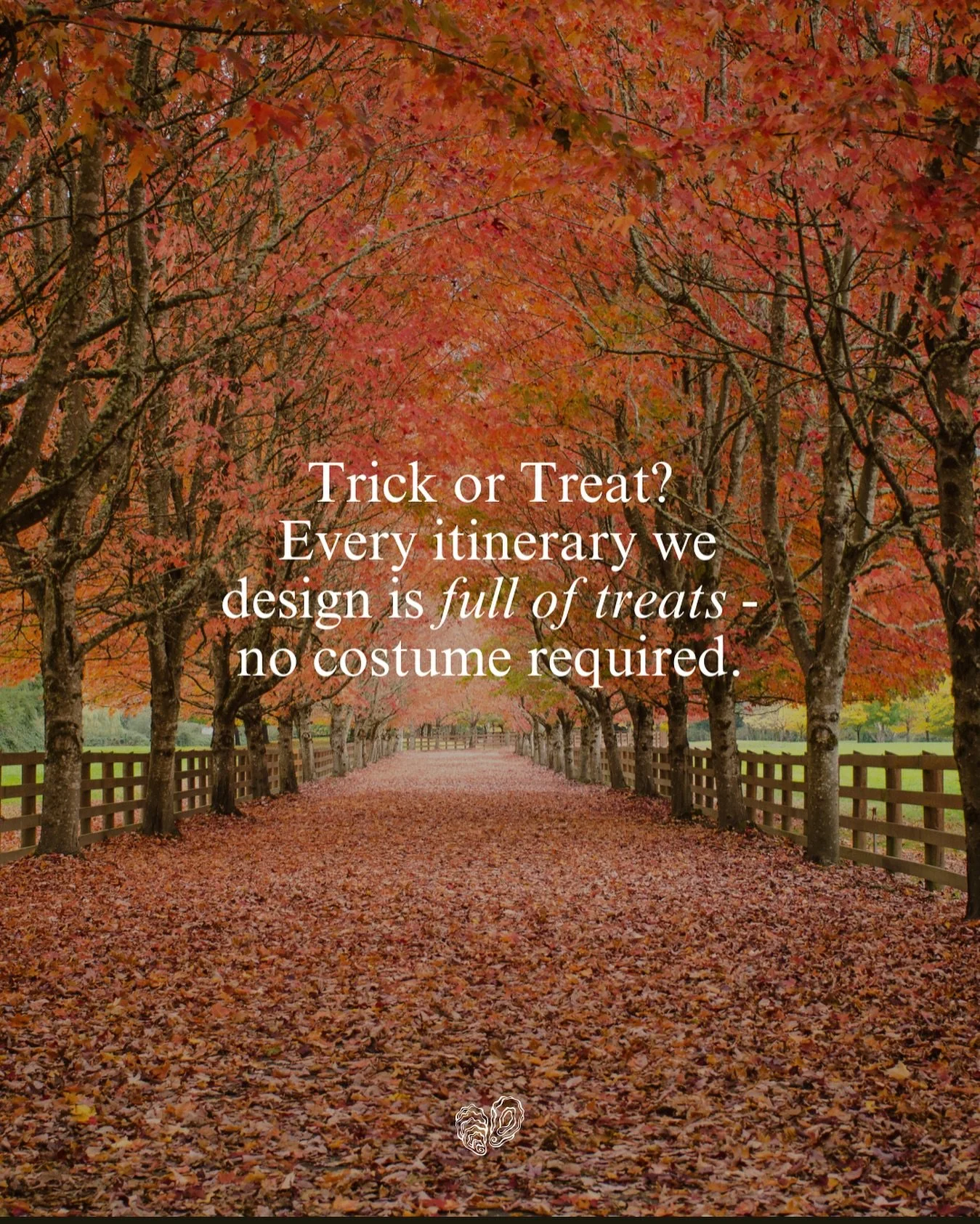 Happy Halloween from Seven Oysters Travel 👻