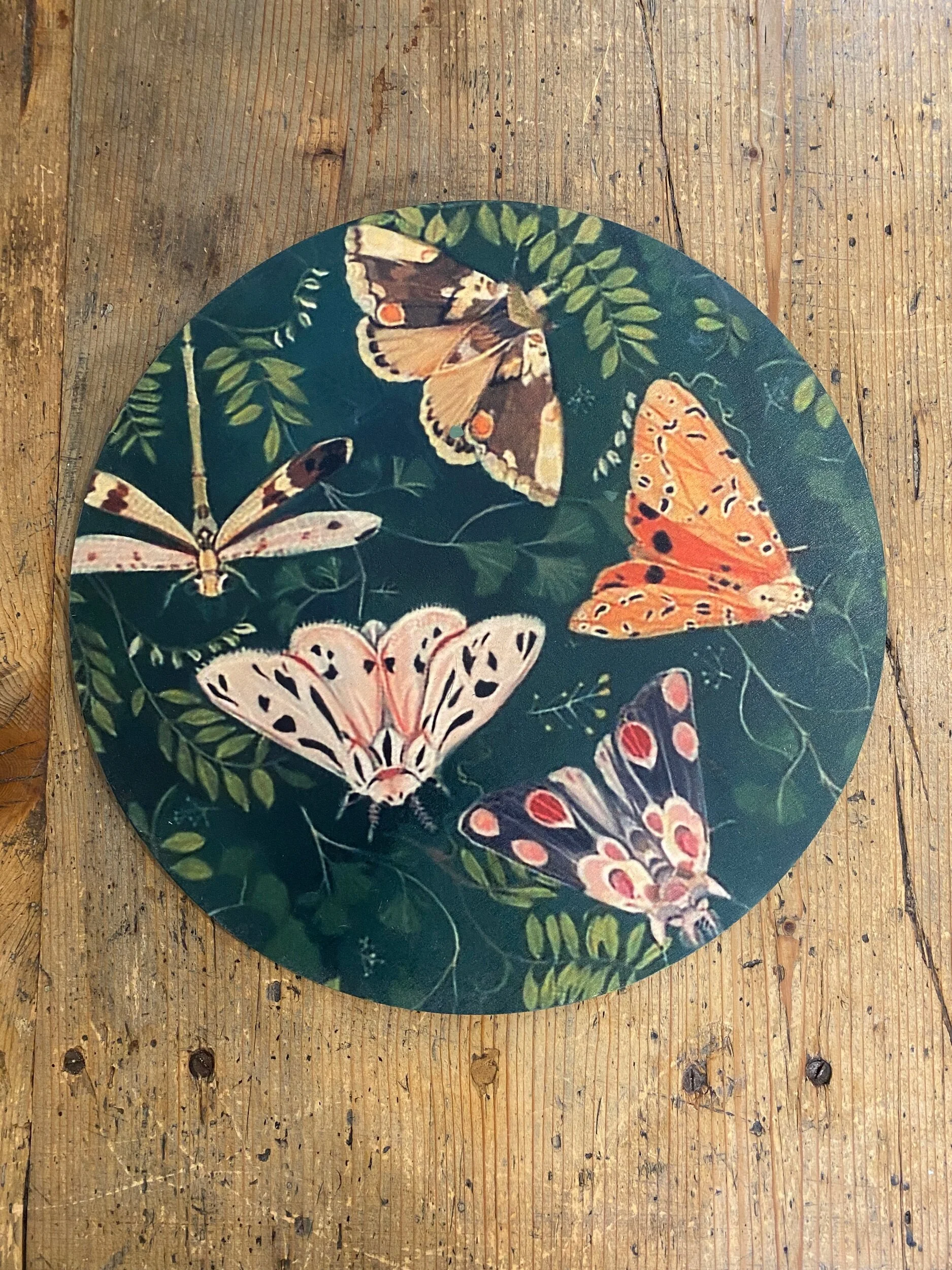 38782183-AE34-40EB-8FE7-522316AF2F5E