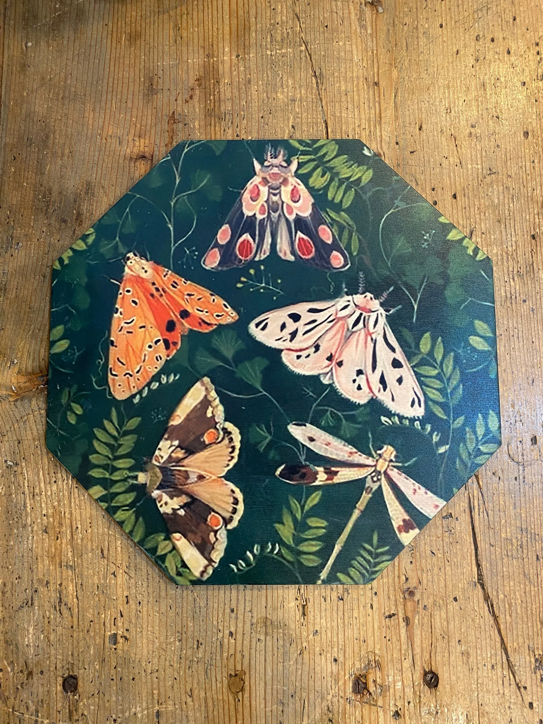 773C9563-A868-4CDC-9D97-1C30E3EAF1CA