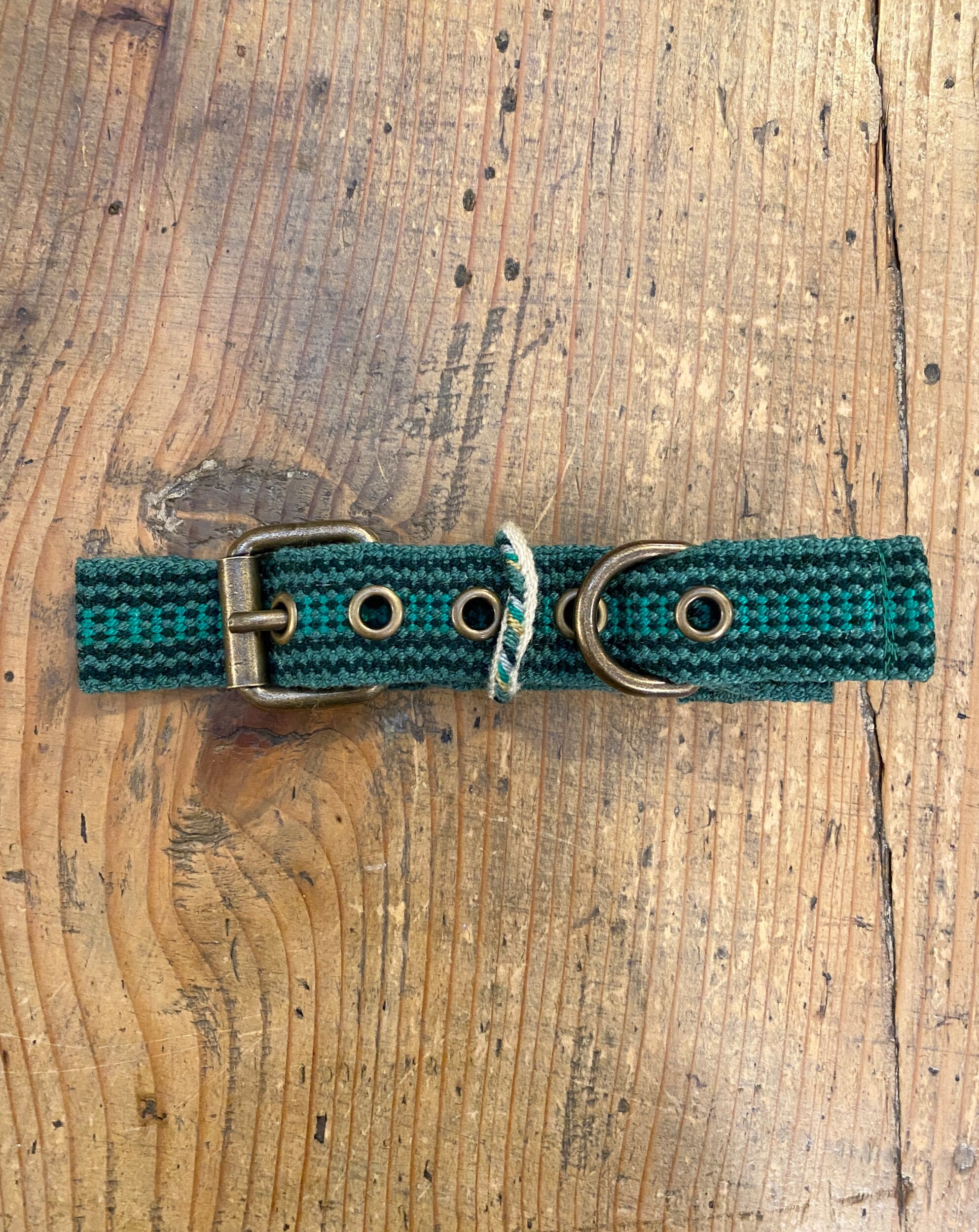 Guanabana - Small/Medium dog collar - green