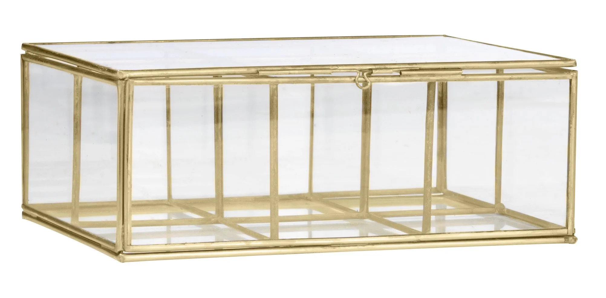 Glass Box with Partitions - Antique Brass