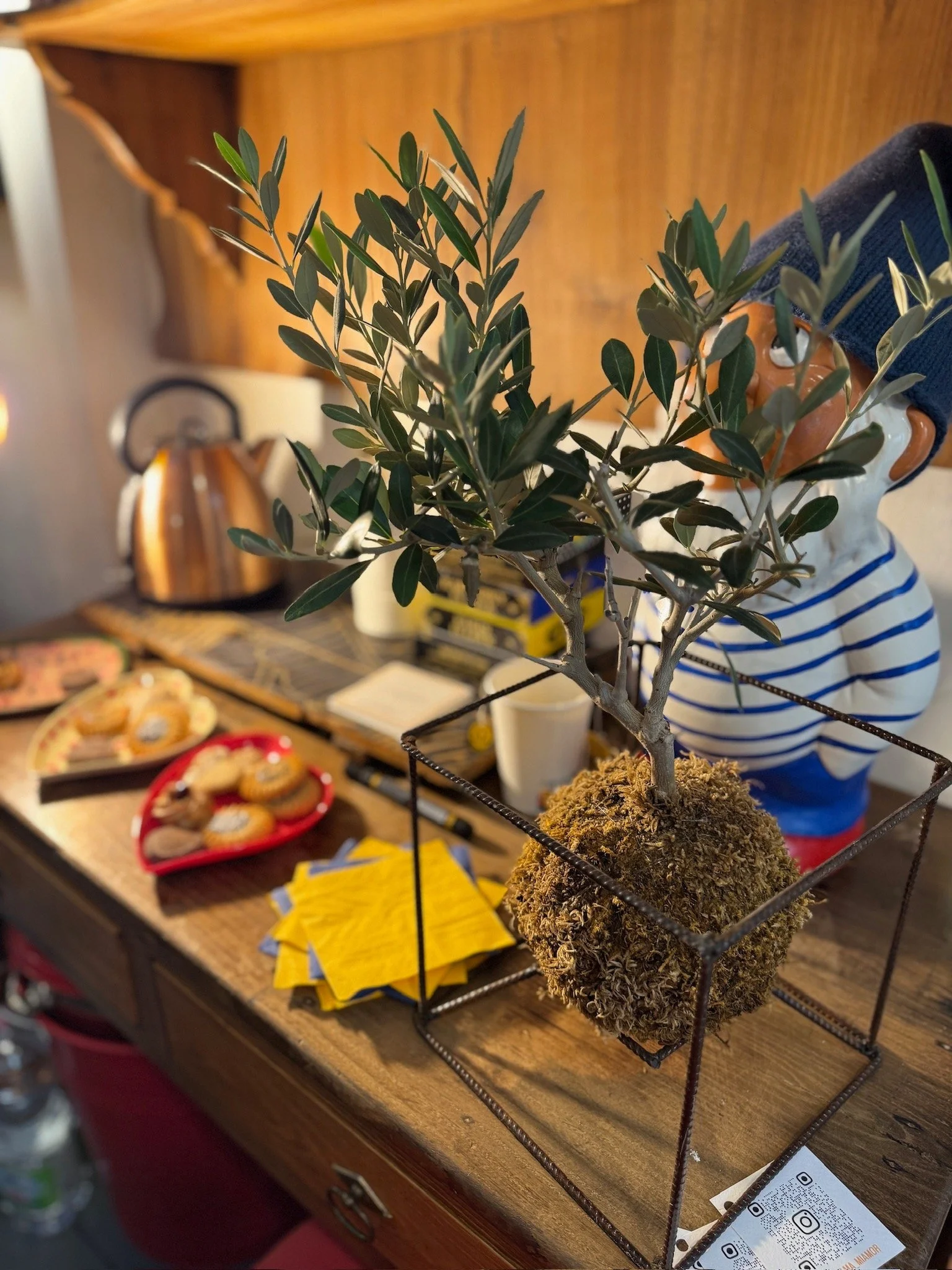 IMG_8725.jpg (Copia)