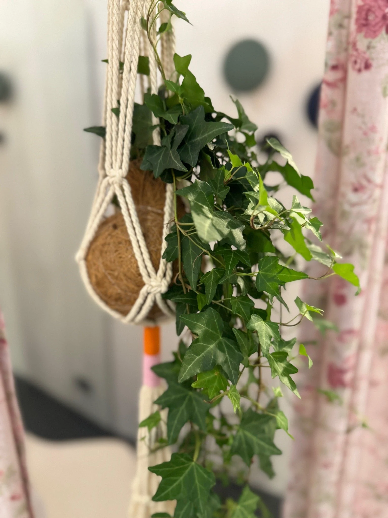 IMG_8717.jpg (Copia)