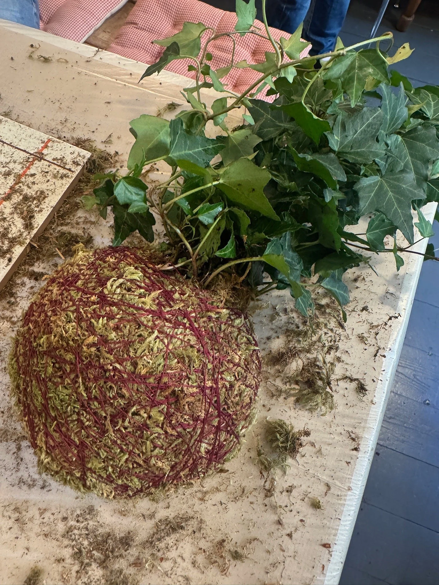 IMG_8763.jpg (Copia)