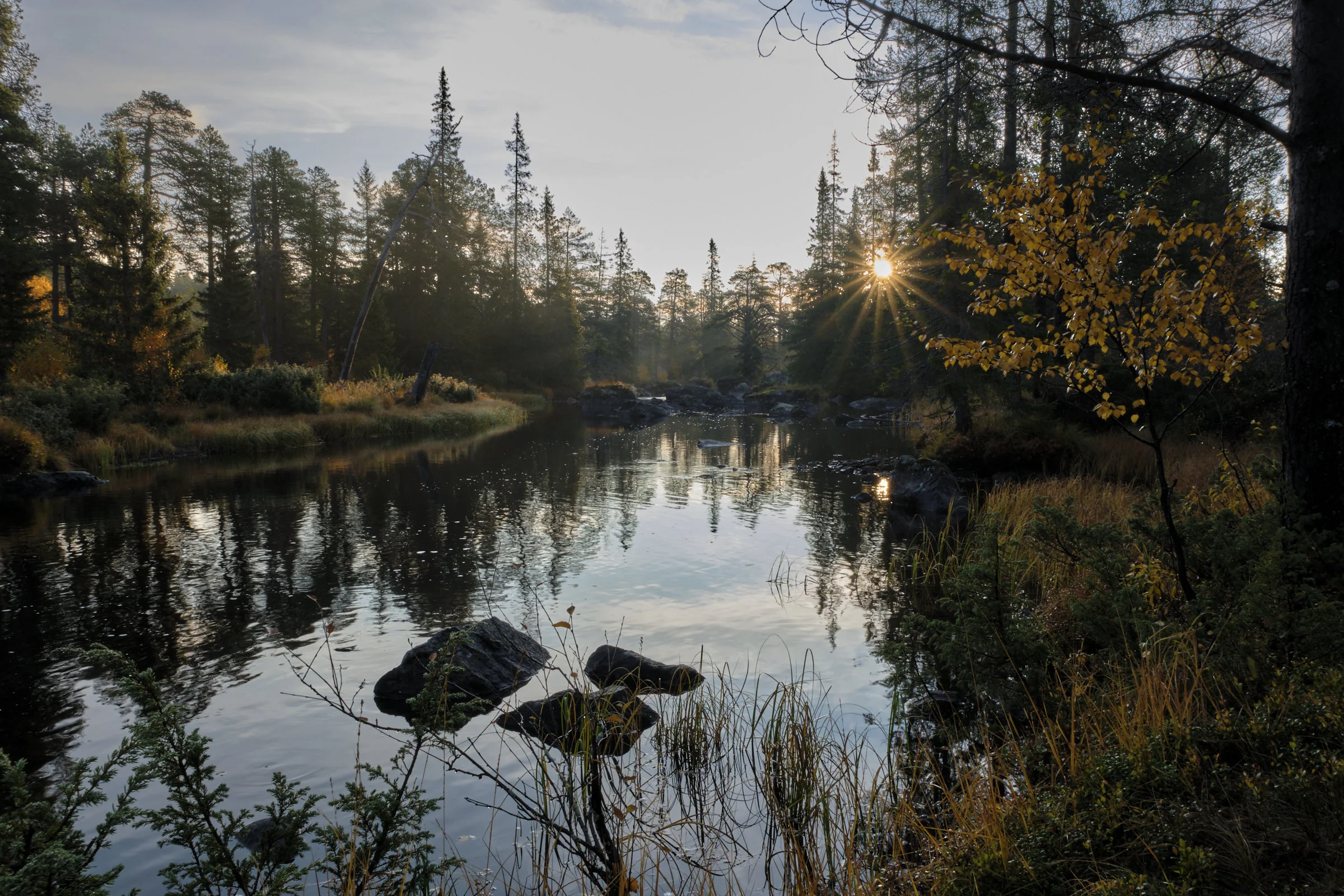 20-09-30_Gränslandet_web_5.jpg