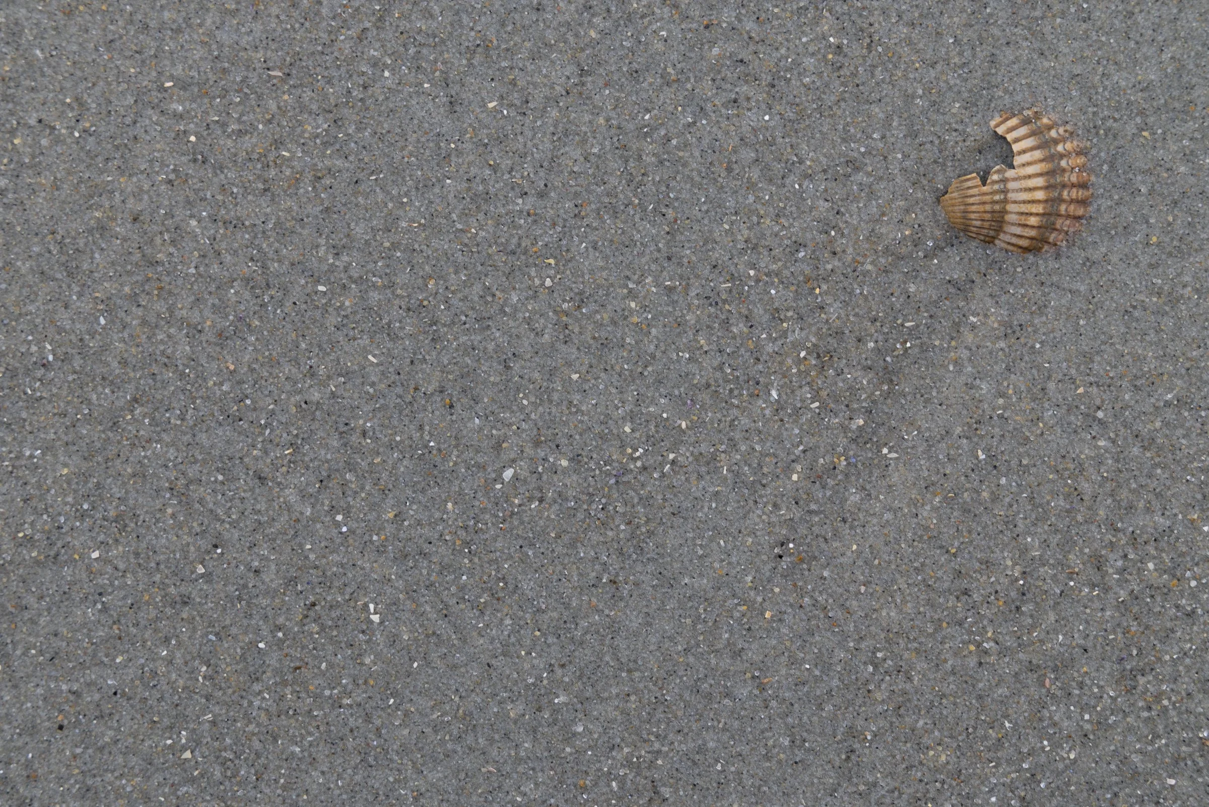 241031_Zeitweise-Baltrum_69_web.jpg