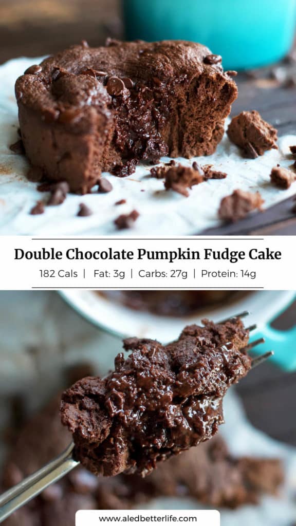 Double Chocolate Pumpkin Fudge Cake — Julie Ledbetter