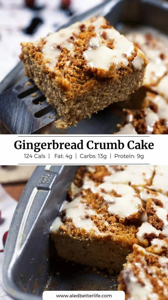 Gingerbread Crumb Cake