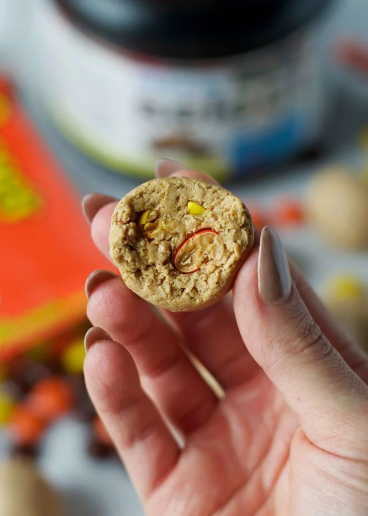 reeses1-731x1024.jpg