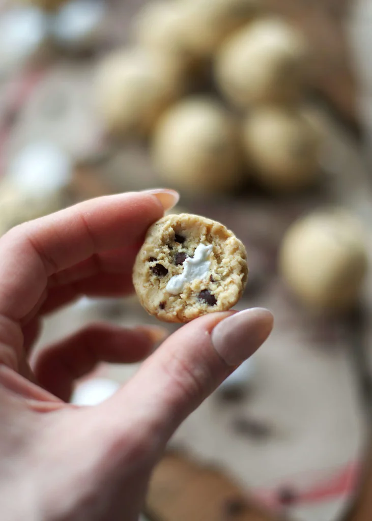 S'Mores Protein Bites