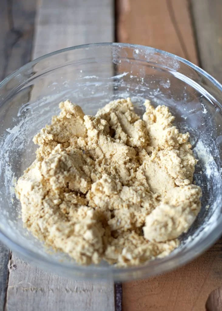 S'Mores Protein Bites