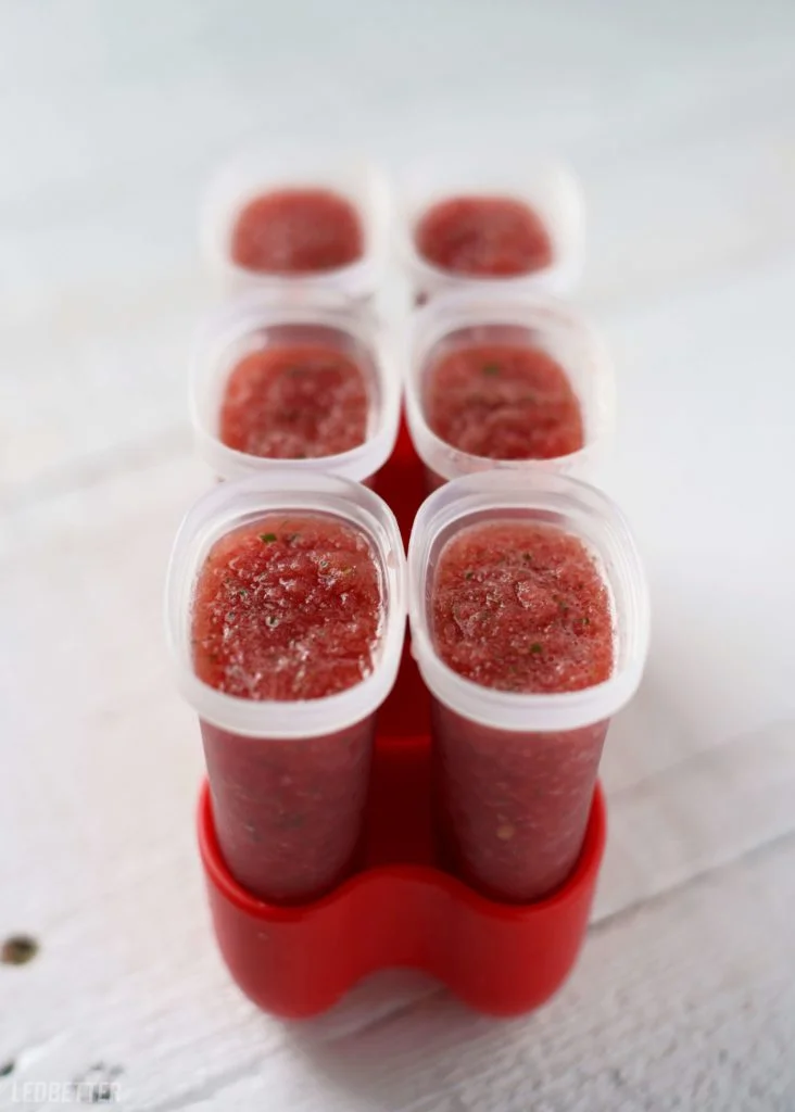 Watermelon Mojito Popsicles