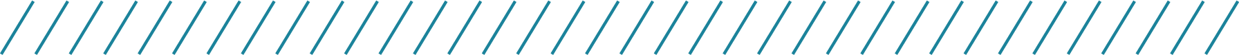 divider_long.png