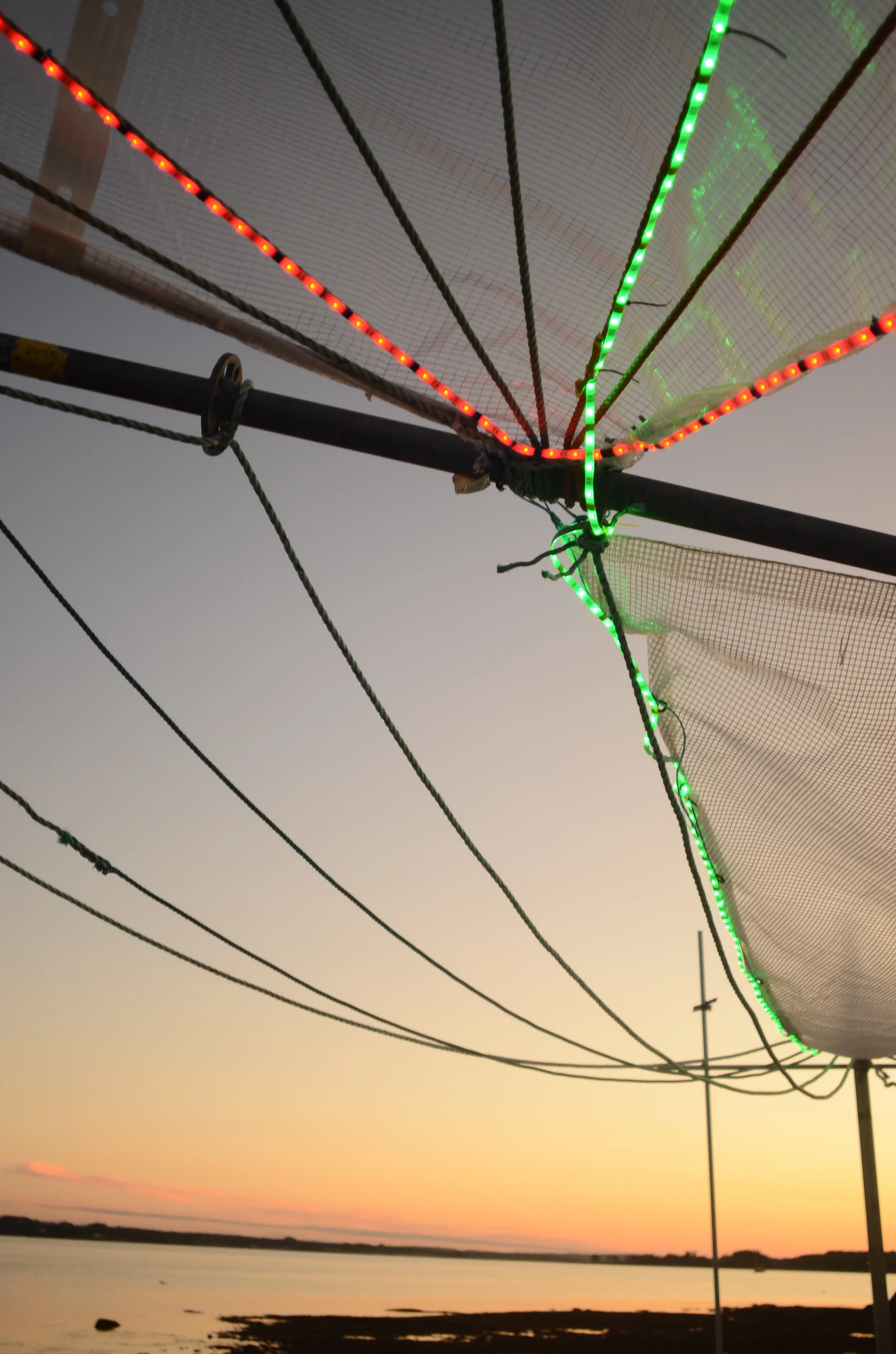  The Floating Warren Pavilion. Photo: Will Baker. 