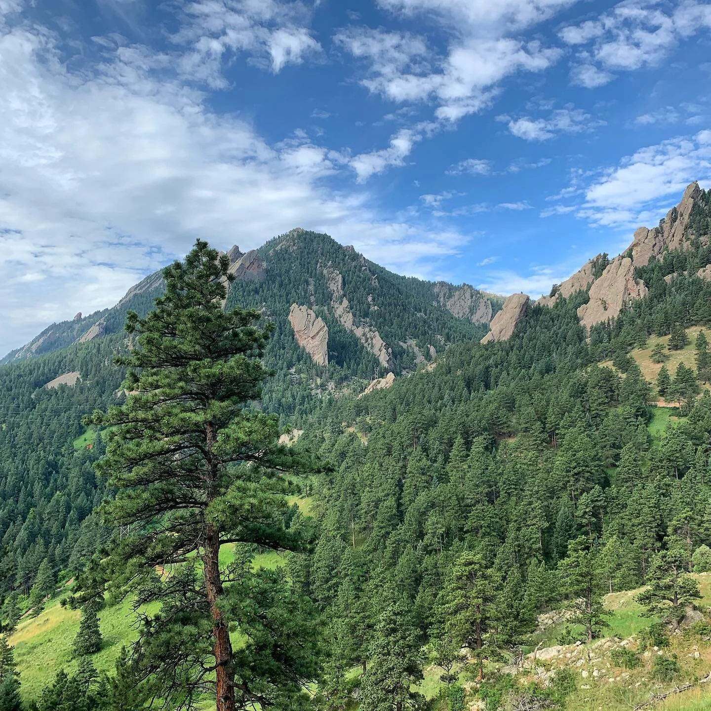 &ldquo;There&rsquo;s no time to be bored in a world as beautiful as this.&rdquo;
Happy #EarthDay from our little slice of nature&rsquo;s heaven to yours 🌎 🏞🙌🏻💚

#boulder #earthday2021 #nature #mountains