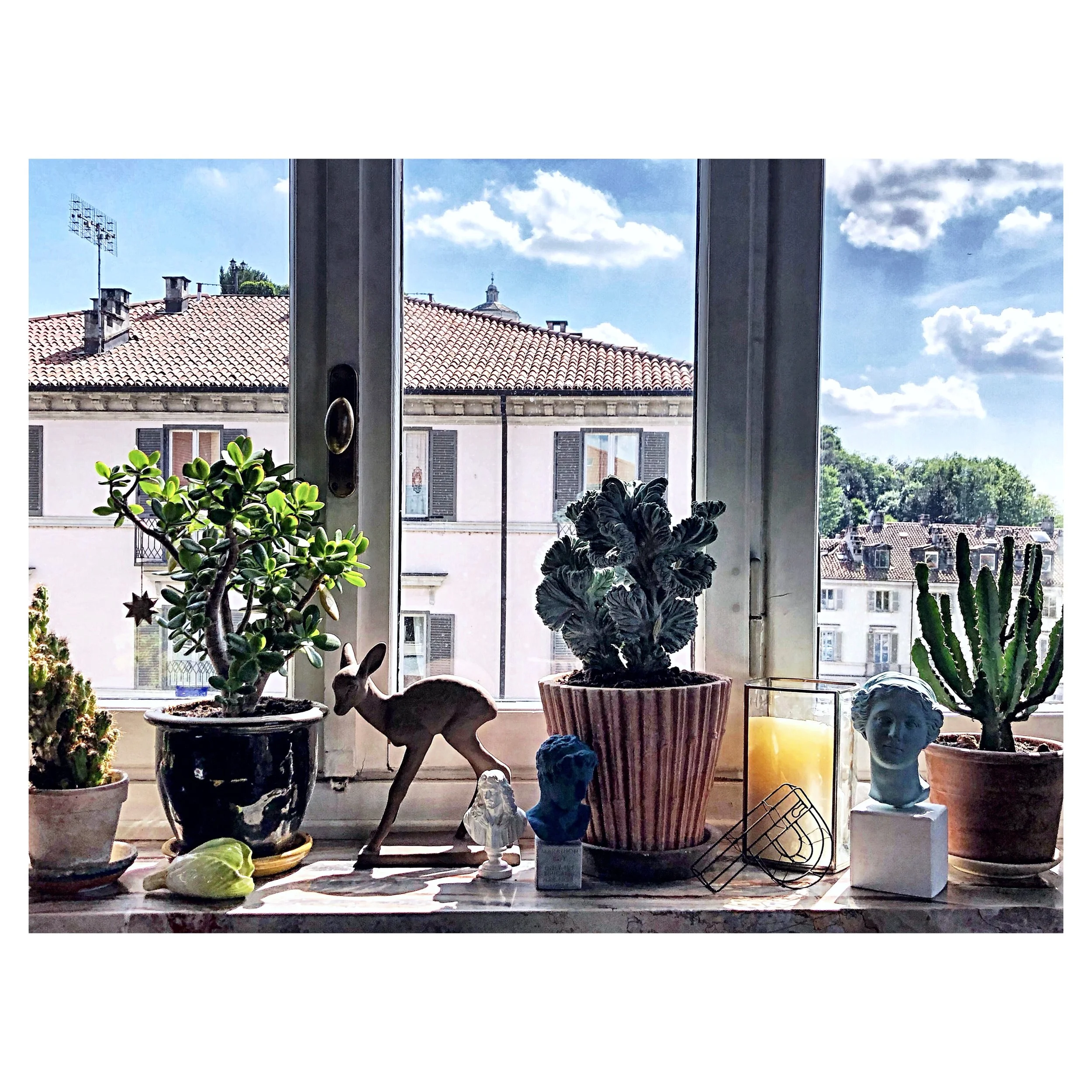 Whitagram-Image.jpg