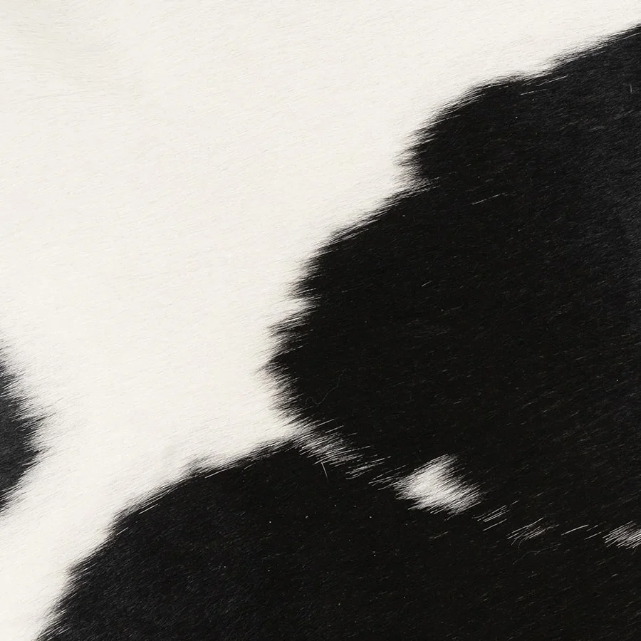 BLW-closeup.jpg