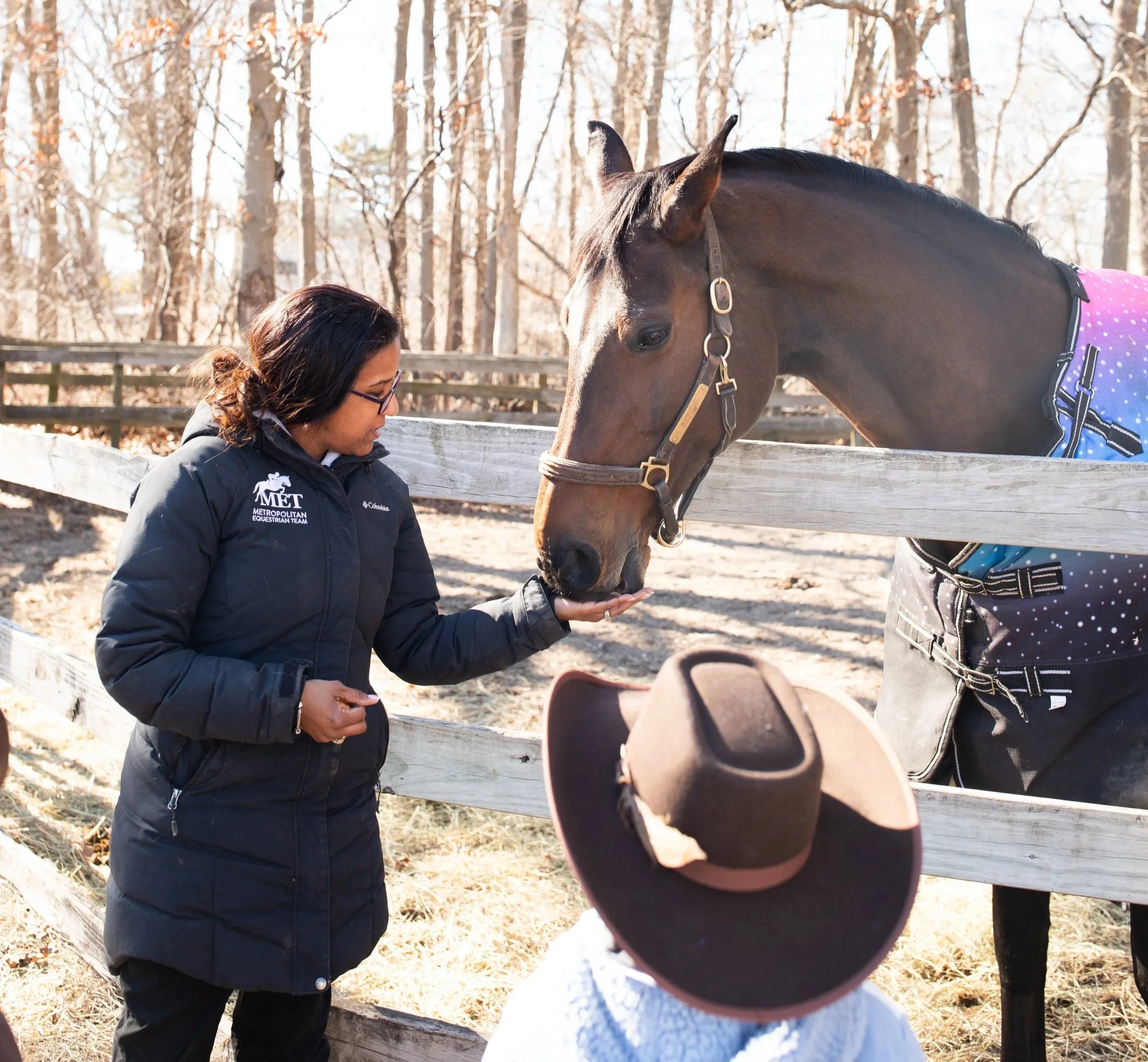 Equestrian Learning Program Equine Education & Workforce Programs β Metropolitan Equestrian