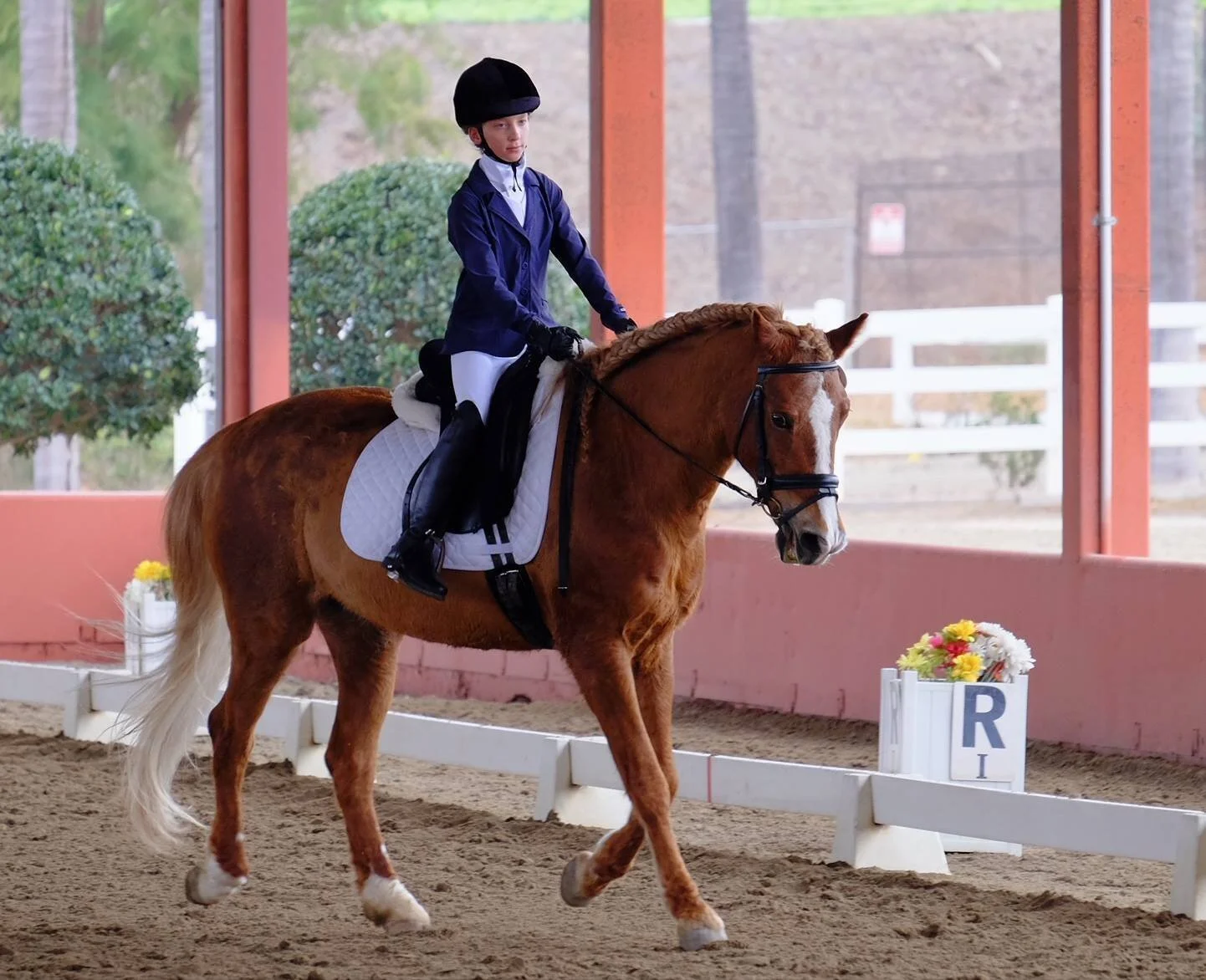 Elizabeth Bachner Rider Donate to a rider — Metropolitan Equestrian