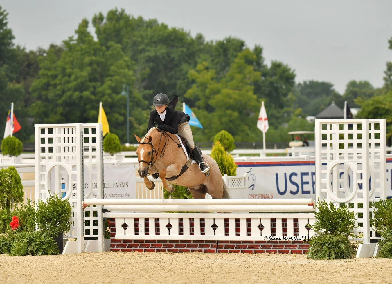 IEA and AEL Teams — Metropolitan Equestrian