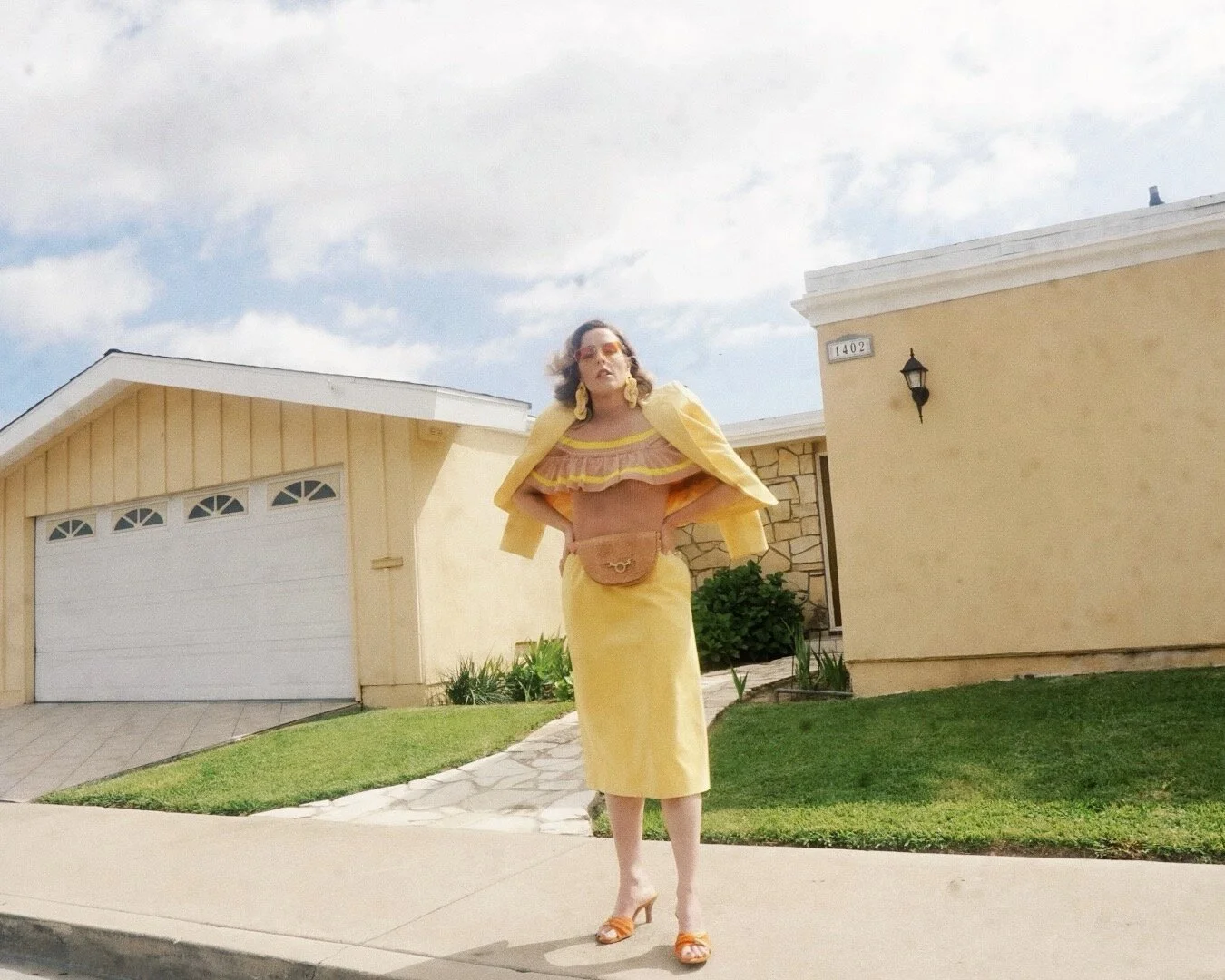 THE SUBURBS OF SCISSORHANDS